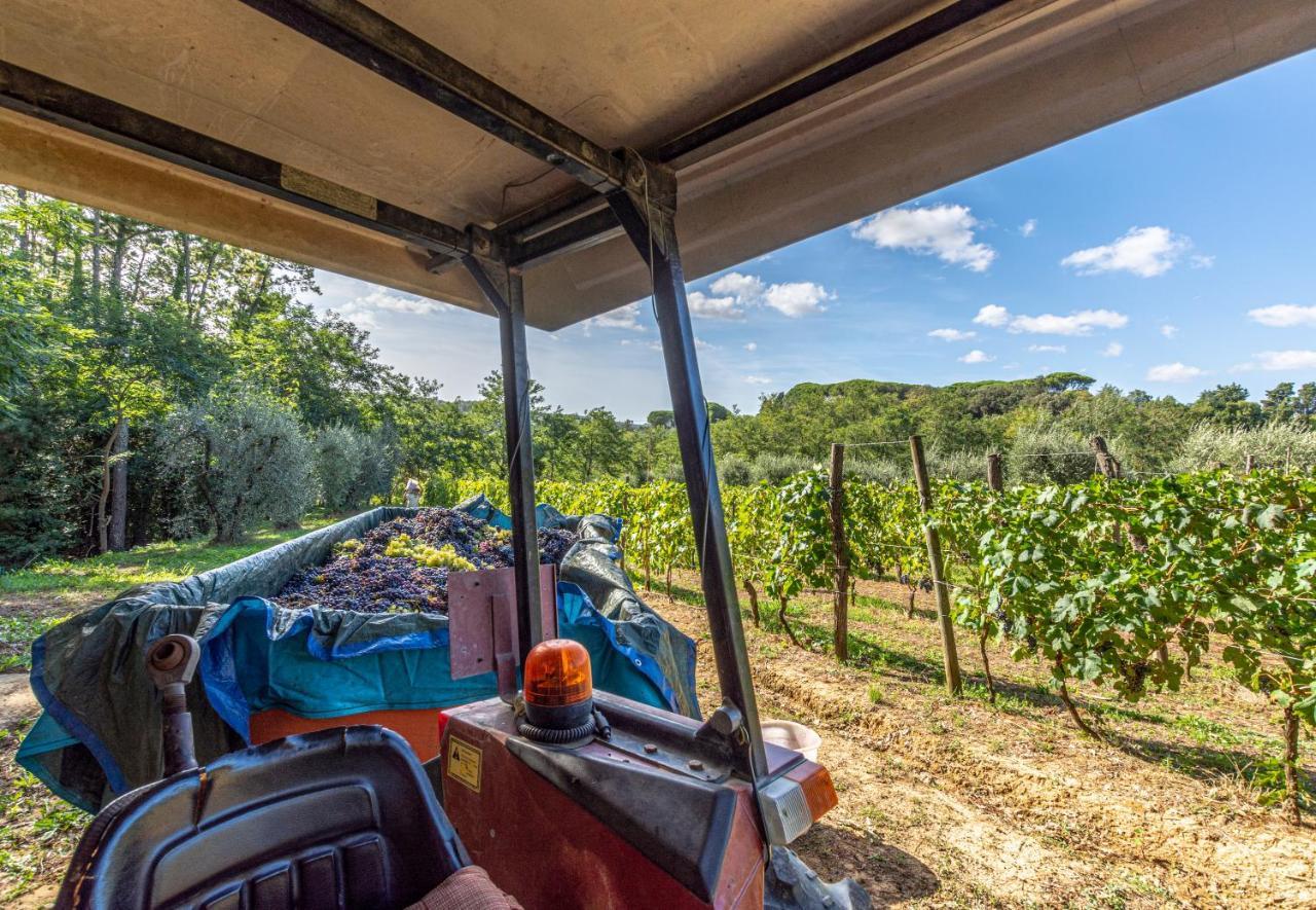 Podere Sant'Antonio Fauglia Luaran gambar