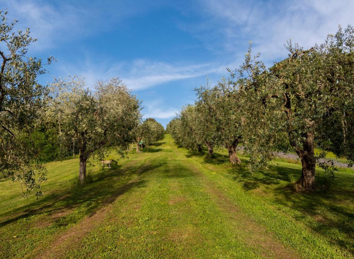 Podere Sant'Antonio Fauglia Luaran gambar