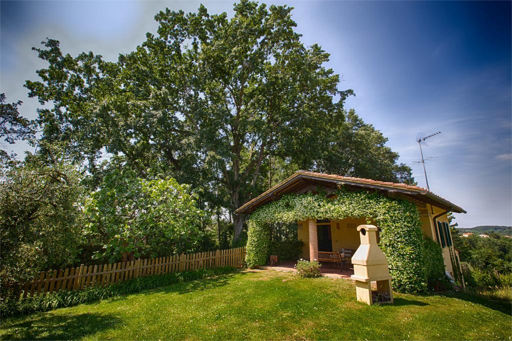 Podere Sant'Antonio Fauglia Luaran gambar