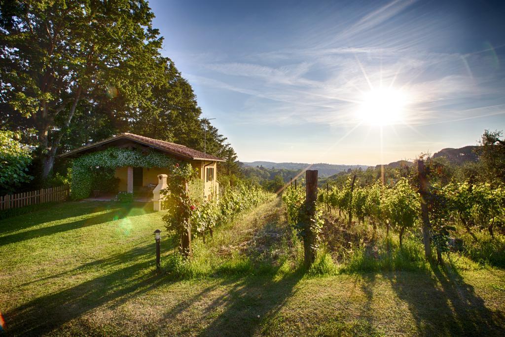Podere Sant'Antonio Fauglia Luaran gambar
