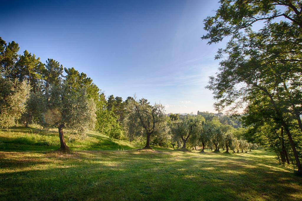 Podere Sant'Antonio Fauglia Luaran gambar